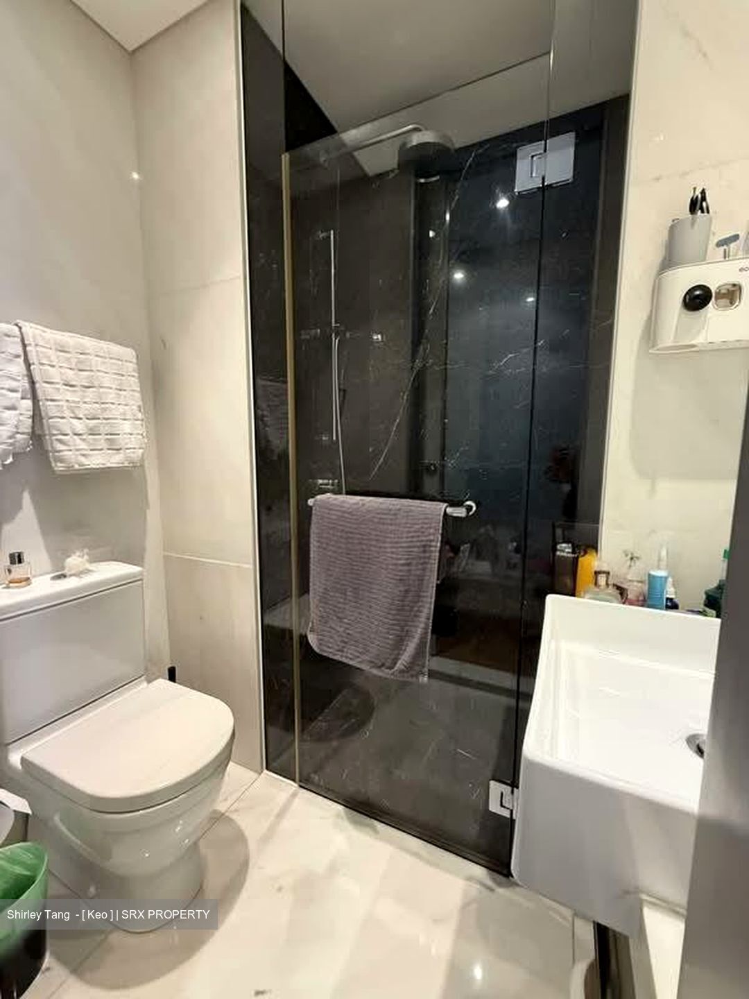 St. Regis Residences (D10), Apartment #585290731